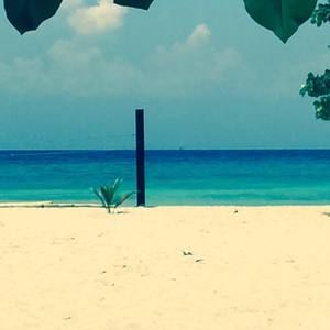 Meet your Posher, Holly